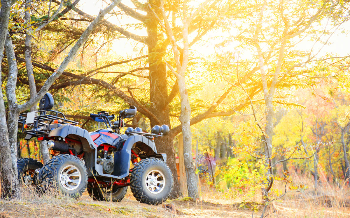 Hunting Land vs Recreational Property: What Buyers Want Around Salem, Missouri